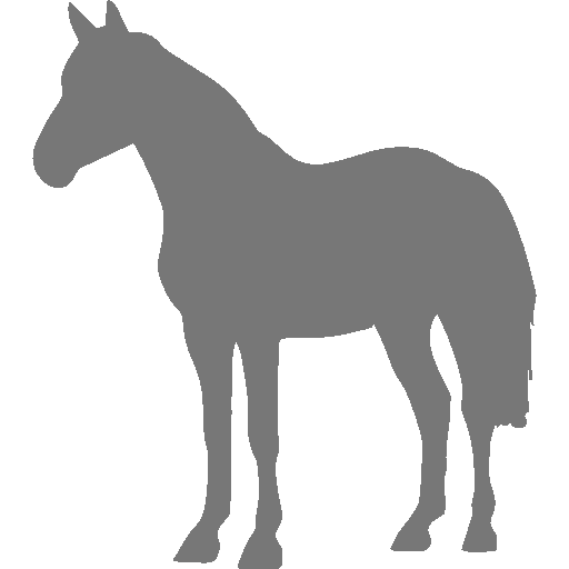 Verkaufspferd